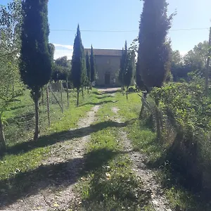  Affittacamere Olivieri